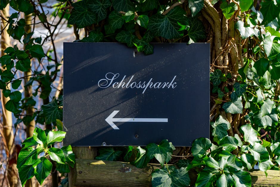 Signage for Schlosspark with arrow, surrounded by lush green ivy on a sunny day.