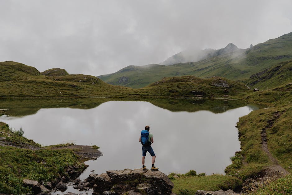 A solo hiker observes a serene lake nestled in the Swiss Alps by Grindelwald.